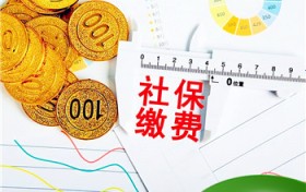 深圳个人社保每月交多少（深圳个人社保每月交多少一个月）图1