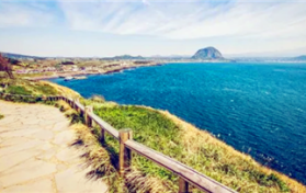 2024年3月份去济州岛冷不冷图3