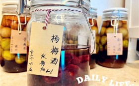 做杨梅酒用什么白酒好(适合制作杨梅酒的白酒选择指南)