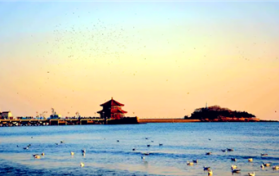 2024年3月底去青岛海边冷不冷图2