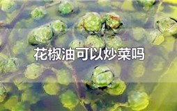 花椒油可以用来炒菜吗 花椒油能不能炒菜吗