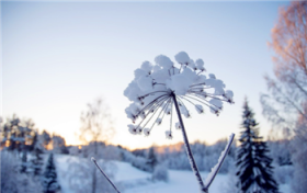 2024年出九是哪一天图1