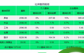 深圳个人社保每月交多少（深圳个人社保每月交多少一个月）图3