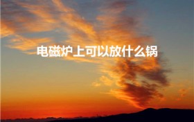 电磁炉上可以放什么锅（电磁炉可以用哪些锅具）