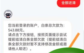 京东白条如何提前还款？京东白条买手机能提前一次性还款吗？图1
