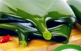 裙带菜跟海带有哪些区别（裙带菜与海带的区别）