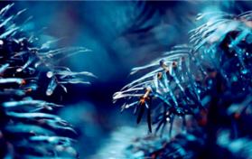 2024年深圳4月份下雨多吗图1