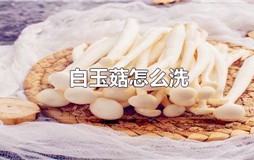 白玉菇怎么洗才干净 白玉菇如何清洗