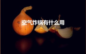 空气炸锅有什么用（空气炸锅的功能和用途）