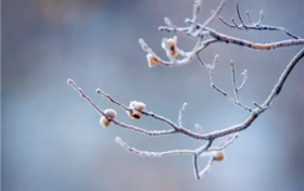 2024年腊月是几号到哪天图2