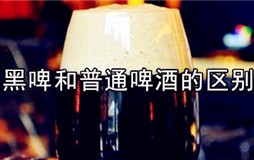 黑啤和啤酒有什么不同 德国黑啤和普通啤酒的区别