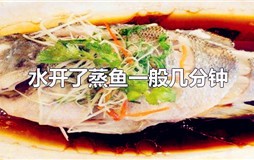 水开了蒸鱼一般几分钟