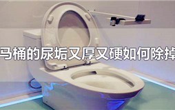 马桶很厚的尿垢怎么去掉？如何去除抽水马桶内厚厚的垢