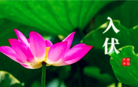 今年夏天入伏是几月几号2024图2