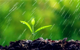 2024年北方是旱年还是涝年图3