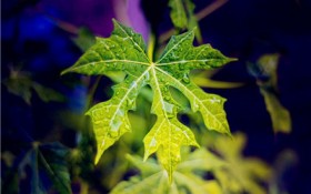 教师职业道德规范（教师的职业道德规范是什么）图2