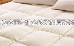 南方冬天盖什么被子保暖又舒服