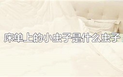 床单上的小虫子是什么虫子