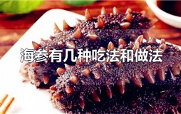 海参的做法有几种？海参怎么吃好吃又有营养