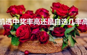 机选中奖率高还是自选几率高（机选和自选哪个中奖机会大）