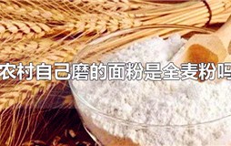 农村自己磨的面粉是全麦粉吗