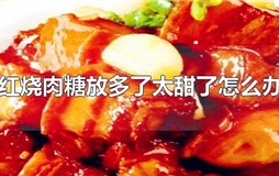 红烧肉糖放多了太甜了怎么办