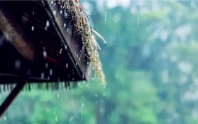 2024年武汉什么时候进到梅雨季图1