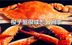 梭子蟹很咸怎么回事