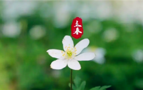 2024年立春之后还会冷吗图3