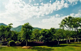 2024年清明过后还有倒春寒吗图3