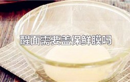 醒面可以用保鲜膜盖吗 醒面团一定要保鲜膜吗