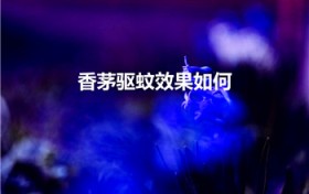 香茅驱蚊效果如何(香茅精油驱蚊有效吗)