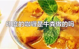 印度的咖喱是牛粪做的吗