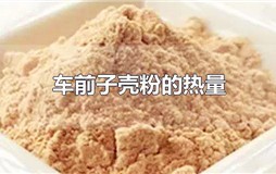 车前子壳粉的热量