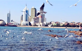 2024年3月底去青岛海边冷不冷图1