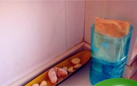 生活乐趣——泡泡水怎么做？读了吹泡泡这篇课文我有什么感想图3
