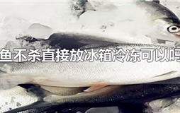 鱼不杀直接放冰箱冷冻可以吗