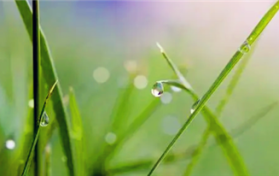 2024年北方是旱年还是涝年图2