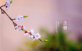 2024年躲春面向什么方向图1