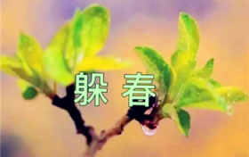 2024年立春哪些人要躲春图1