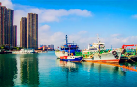 2024年青岛三月份能赶海吗图2