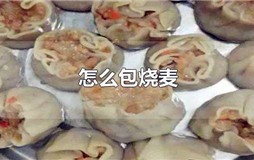 怎么包烧麦