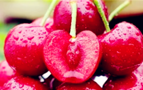 2024年大连市五月初有樱桃采摘吗图3