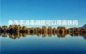 免洗手消毒凝胶可以带高铁吗（免洗凝胶可以带上高铁吗）