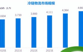 冷链行业前景怎么样（冷链行业发展前途）图2