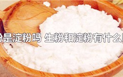 生粉是淀粉吗 生粉和淀粉有什么区别