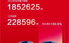 国产新能源电动汽车排名（国产新能源品牌车）图2