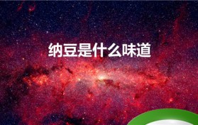 纳豆是啥味道（纳豆的味道特性及解析）