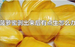 菠萝蜜剥出来后有点生怎么办