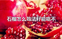 石榴的籽能不能吃？石榴怎么吃才是正确的吃法